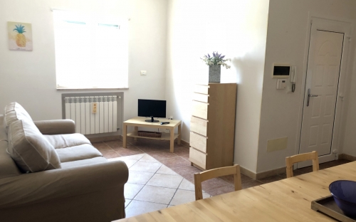 entrance / living room